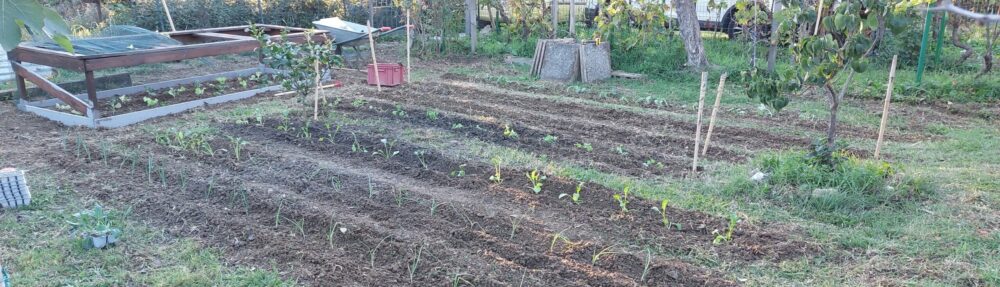 Viver bene-Vivere coltivando